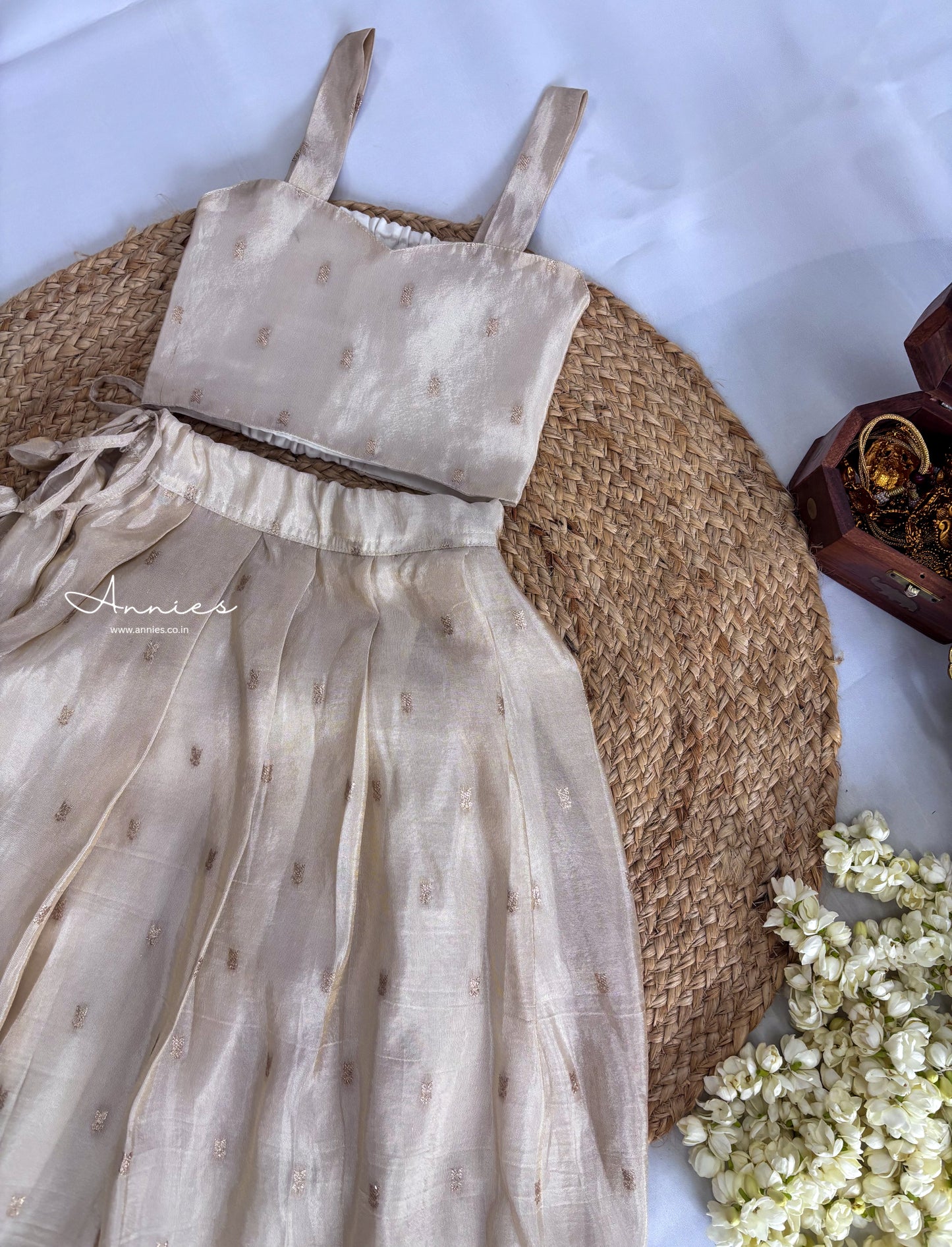 Banarasi Tissue Skirt with Sleeveless Blouse