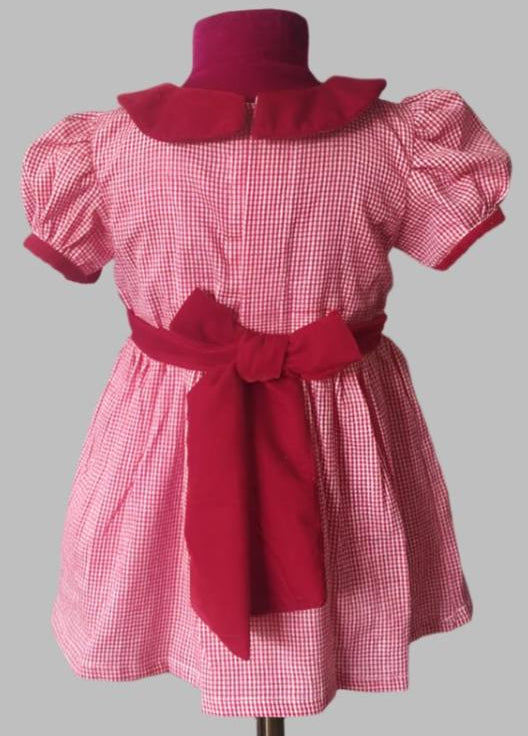 Kate_Dress_in_Handwoven_Red_Petite_Plaids back image shot