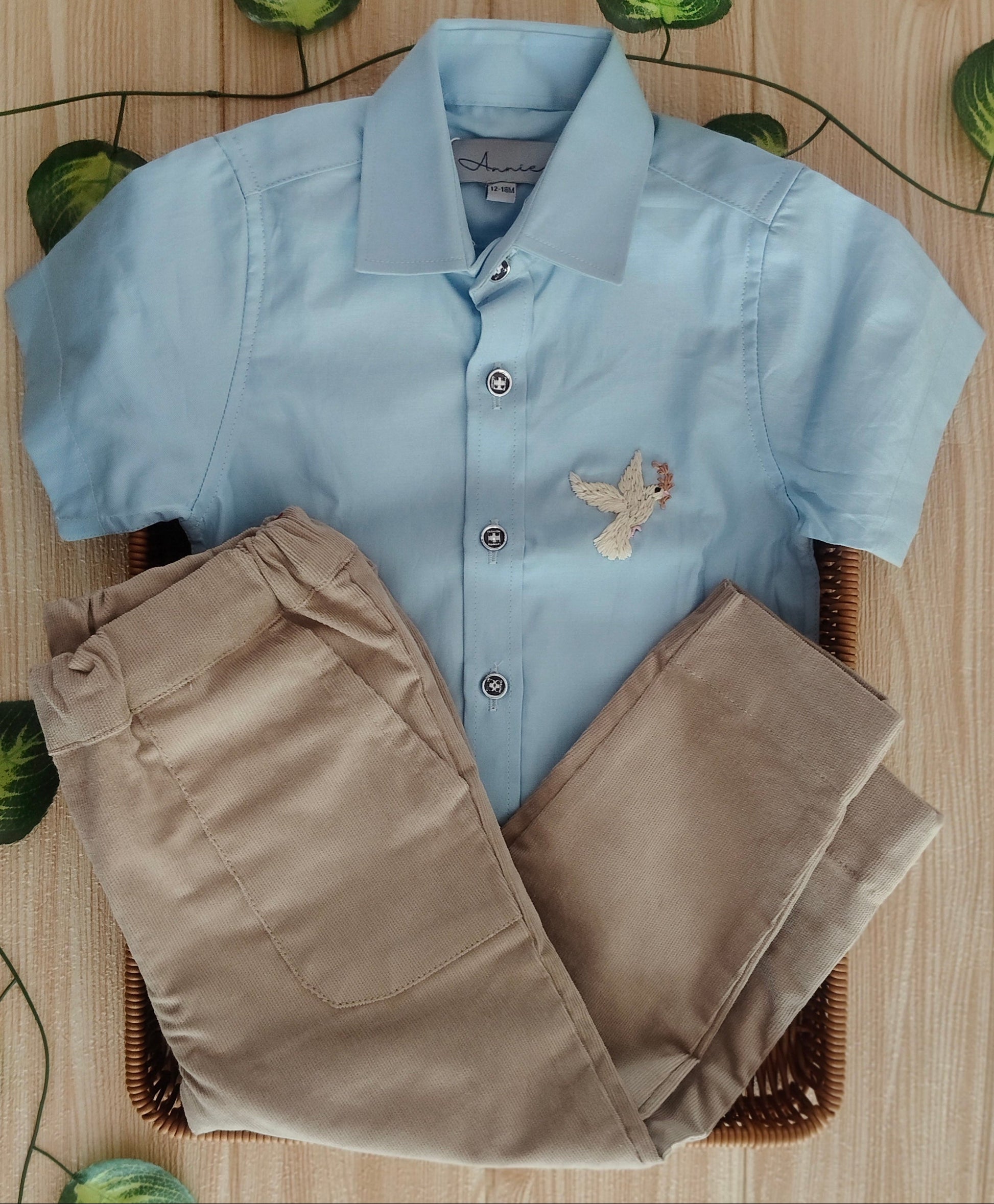 Light blue shirt with floral embroidery and beige pants on a wooden surface with green leaves.