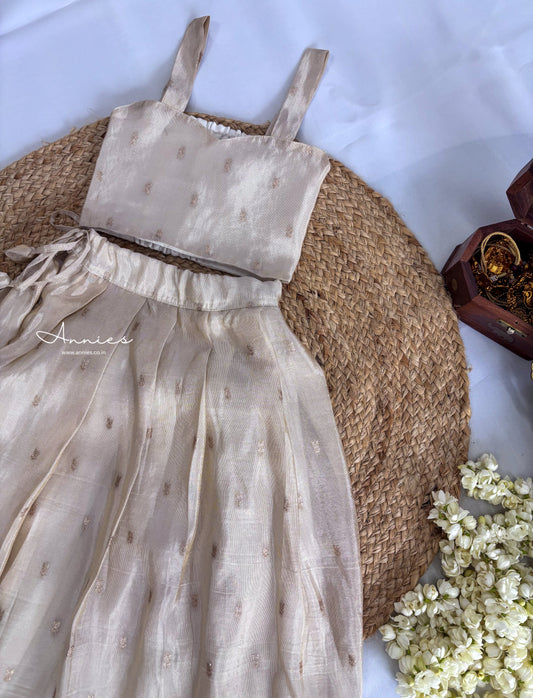 Banarasi Tissue Skirt with Sleeveless Blouse