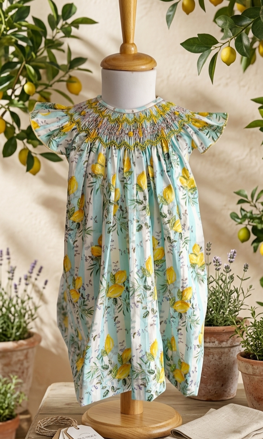 Smocked Bishop Baby Dress – Amalfi Zig Zag